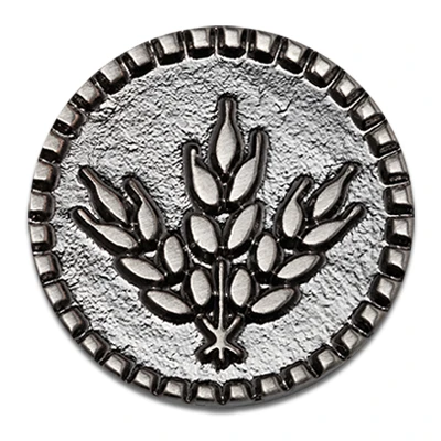 Moedas & Co Moedas & Co